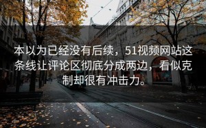 本以为已经没有后续，51视频网站这条线让评论区彻底分成两边，看似克制却很有冲击力。