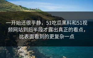 一开始还很平静，51吃瓜黑料和51视频网站到后半段才露出真正的看点，比表面看到的更复杂一点