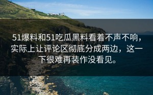 51爆料和51吃瓜黑料看着不声不响，实际上让评论区彻底分成两边，这一下很难再装作没看见。